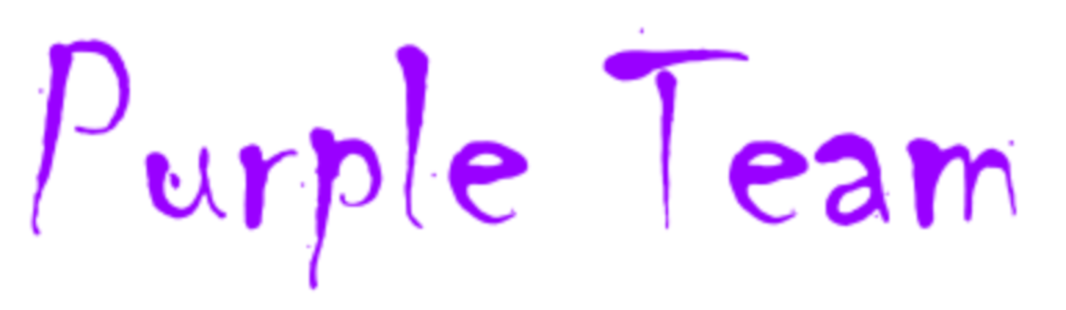 Purple Team Securité Informatique